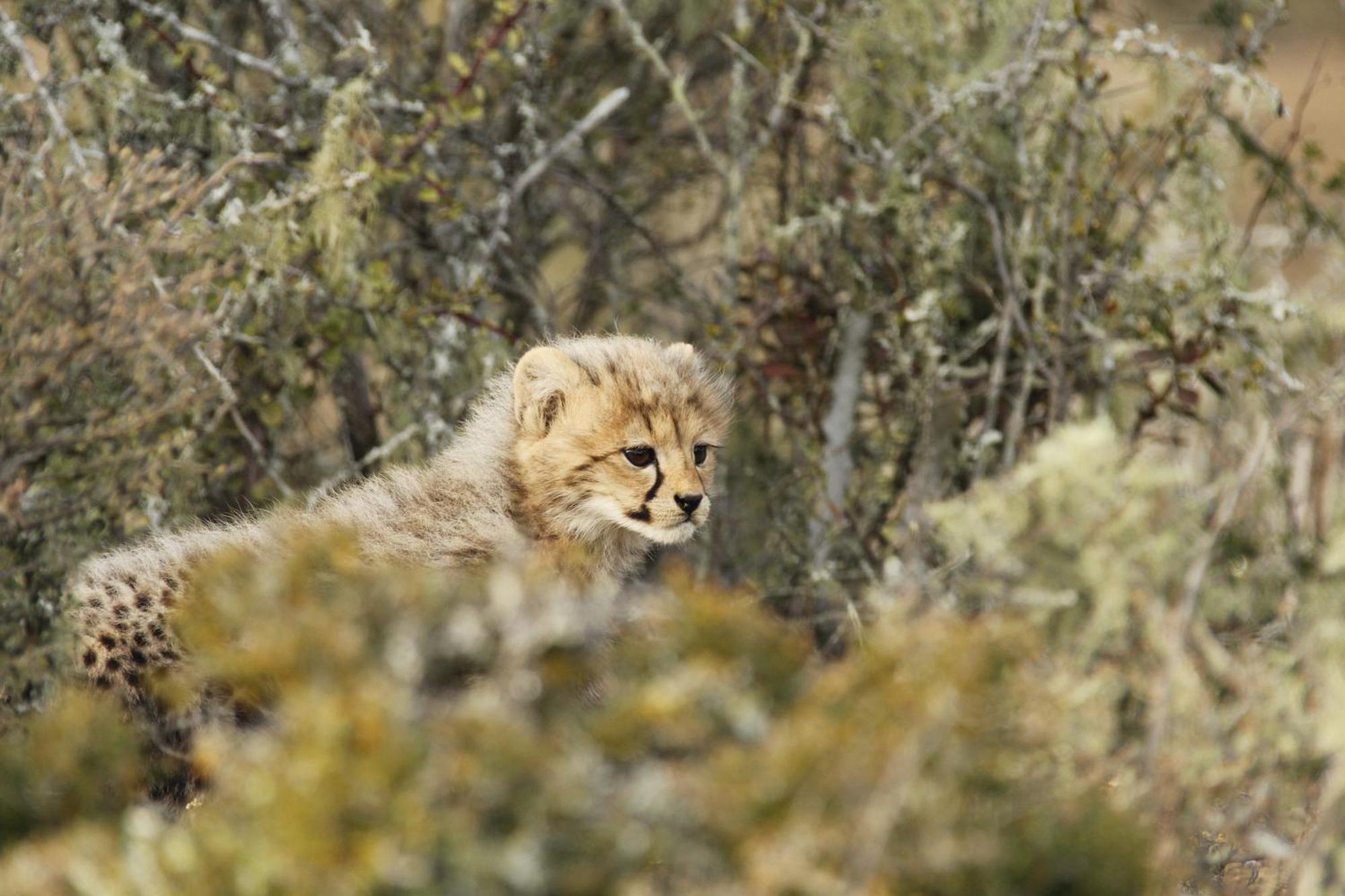 Kwandwe Private Game Reserve - Great Fish River Lodge Grahamstown Exteriér fotografie