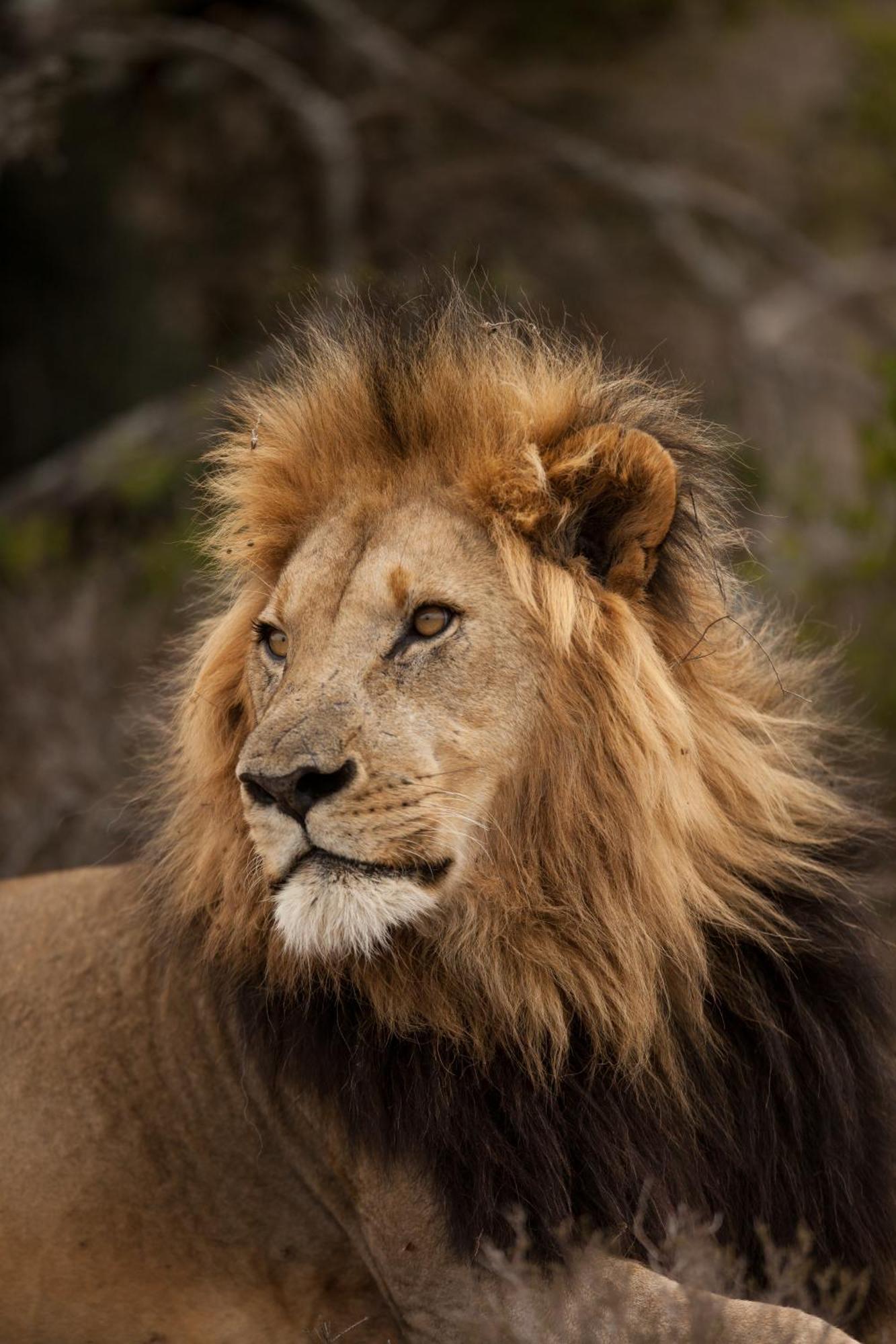 Kwandwe Private Game Reserve - Great Fish River Lodge Grahamstown Exteriér fotografie