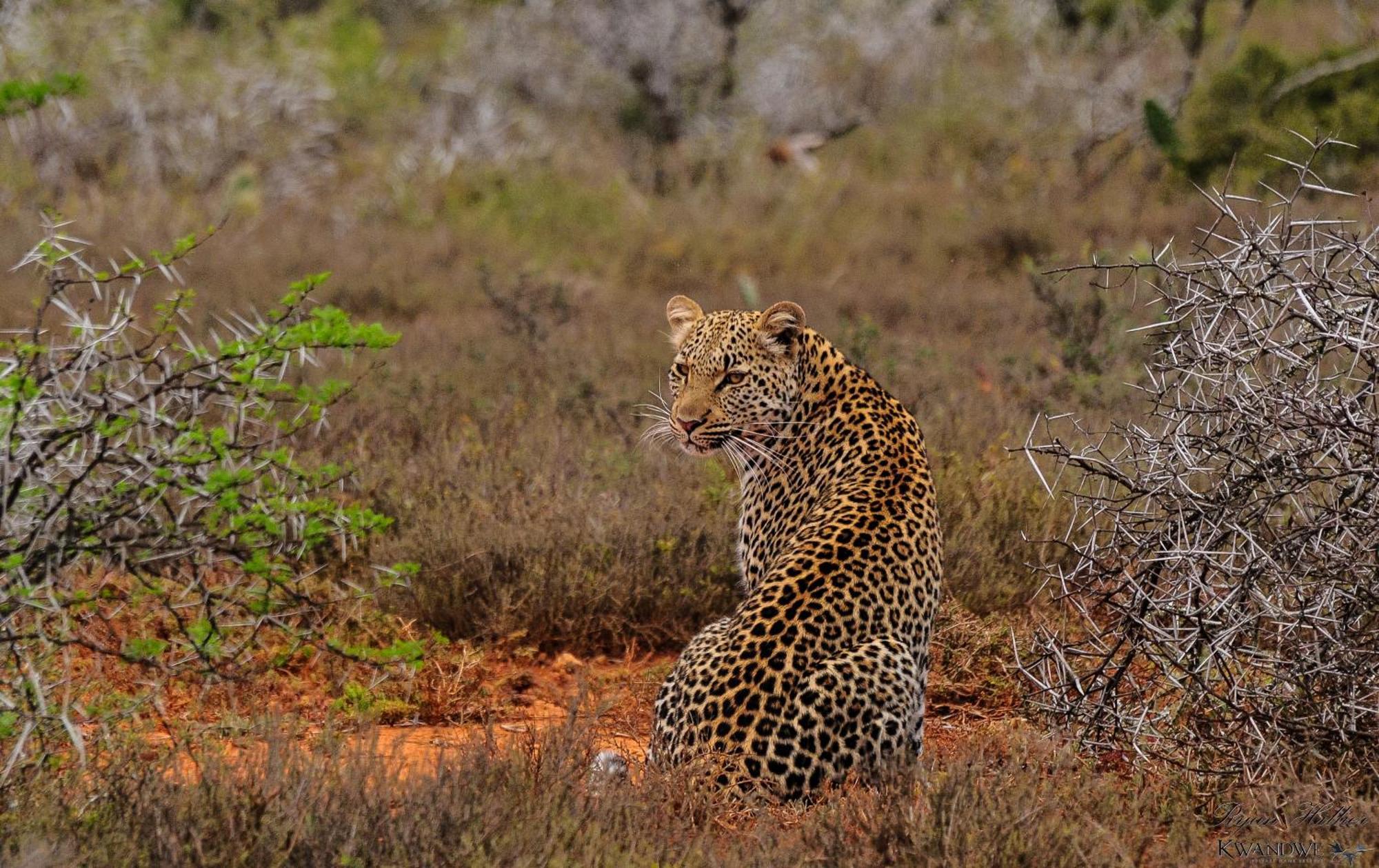 Kwandwe Private Game Reserve - Great Fish River Lodge Grahamstown Exteriér fotografie