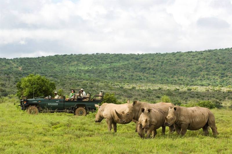 Kwandwe Private Game Reserve - Great Fish River Lodge Grahamstown Exteriér fotografie