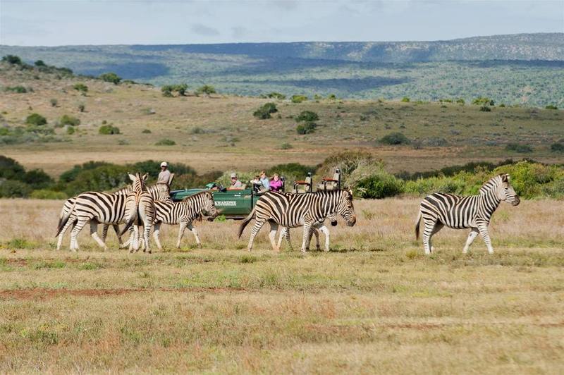 Kwandwe Private Game Reserve - Great Fish River Lodge Grahamstown Exteriér fotografie