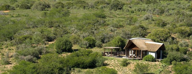 Kwandwe Private Game Reserve - Great Fish River Lodge Grahamstown Exteriér fotografie