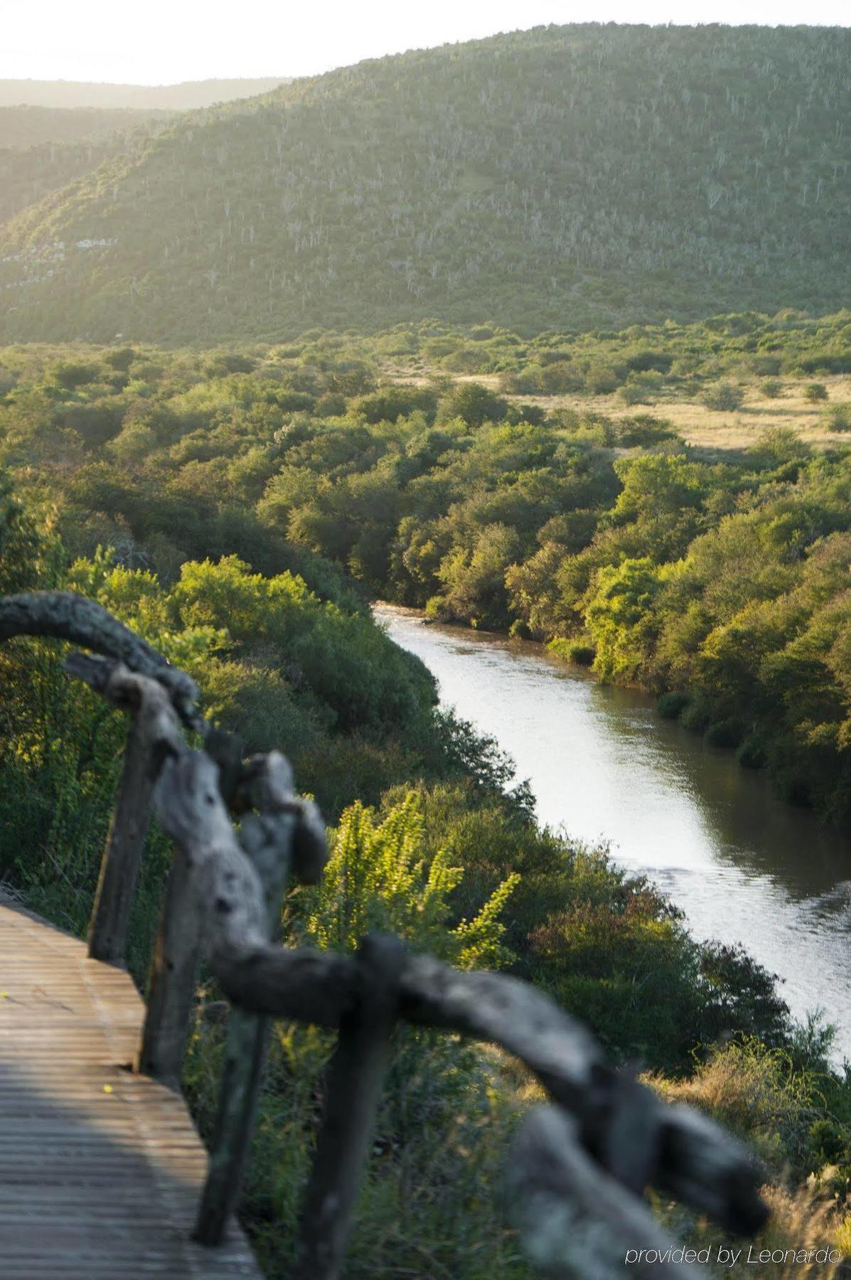 Kwandwe Private Game Reserve - Great Fish River Lodge Grahamstown Exteriér fotografie