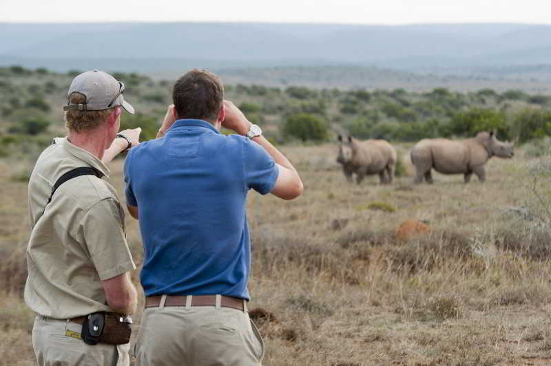 Kwandwe Private Game Reserve - Great Fish River Lodge Grahamstown Exteriér fotografie